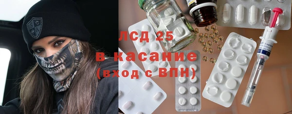 индика Белоозёрский