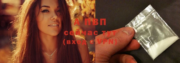 индика Белоозёрский