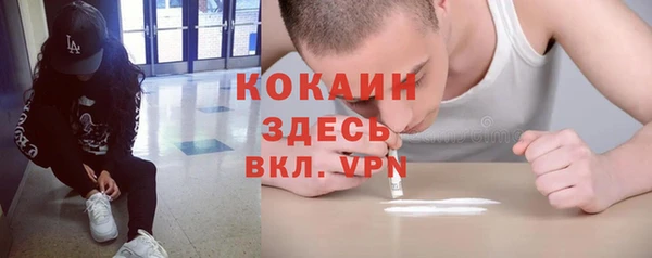 индика Балахна
