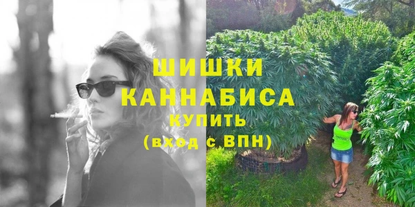 индика Белоозёрский