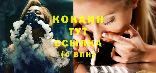 индика Балахна